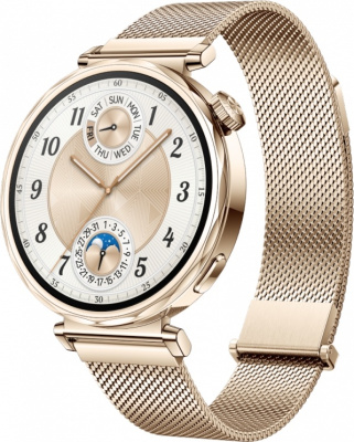 Huawei Huawei GT 5 41mm  Gold Milanese Strap