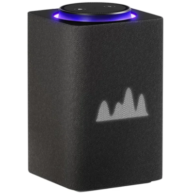 Yandex Макс Графит YNDX-00053K